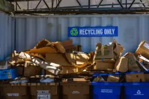 5 Creative Ideas to Promote the Use of Recycling Bins in Schools and Workplaces