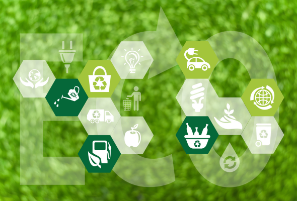 Learn More About Our Environmental Recycling Services and Commitment to Environmental Responsibility