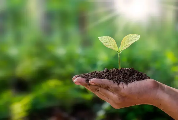 Environmental Recycling Services for Businesses and Communities - Protecting Natural Resources with Eco-Friendly Recovery Programs